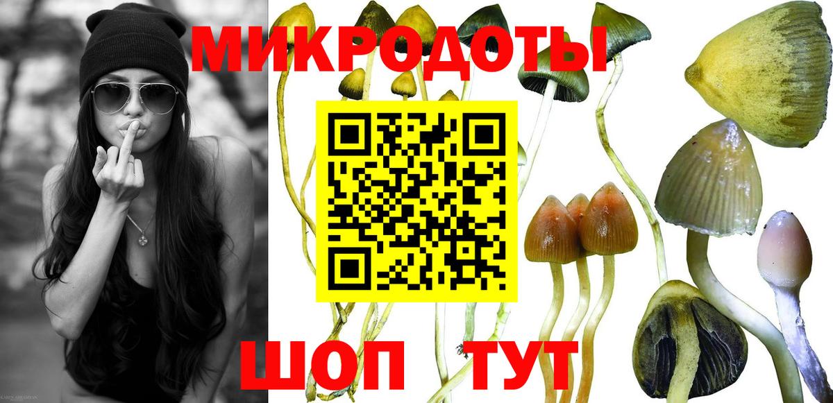 Галлюциногенные грибы Psilocybine cubensis  Вход с VPN  Клинцы 